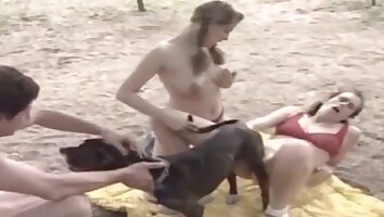 intense sex,zoophilia sex video