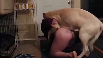 gay zoo porn,zoo porn with dog
