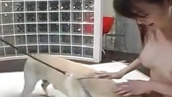 zvíře souloží se ženou,souloží s lidmi a zvířaty