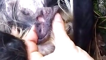 amateur bestiality videos,asian zoo porn