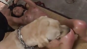 sexo duro con animales,zooporno asiático