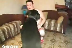 dog-fucking-woman, beastiality-porn-videos