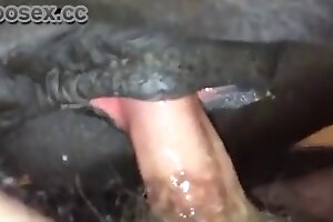 , 