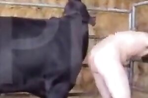 blonde, dog-fucking-woman