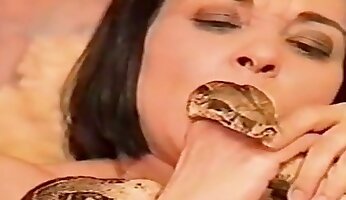 free zoo porn video,animal sex video