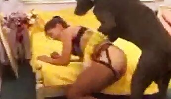 phim khiêu dâm hậu môn,cô gái quan hệ với động vật