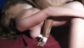 pornô amador e caseiro,pornografia anal em zoológico