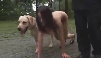 asiatisk zoofili,gratis zoo-porrvideo