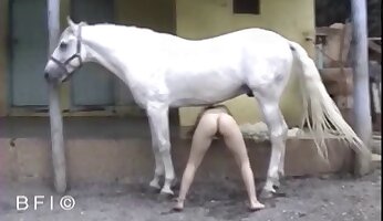 menina fode com animal,cavalgando pau