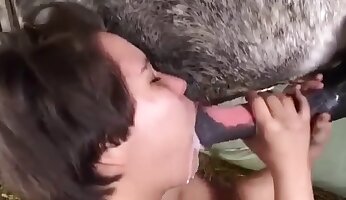 口交,动物园色情电影