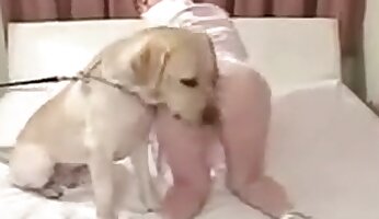 لڑکی نے جانور کے ساتھ جنسی تعلق کیا,کتے کی فحش
