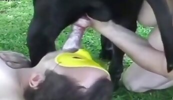passionate sex,dog porn