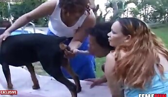 análne zoo-porno,psie porno