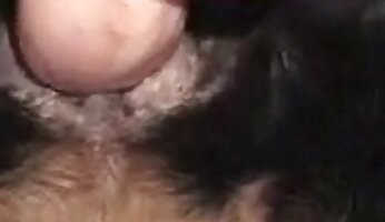video di sesso canino,video porno zoologico gratuito