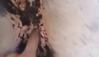 hot sex orgasm,free zoo porn video