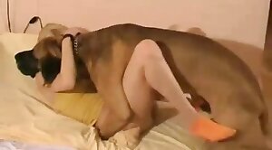 dog porn,zoophilia fucking porn